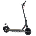 Dual rear light 10inch 350W motor adult folding kick electric scooter